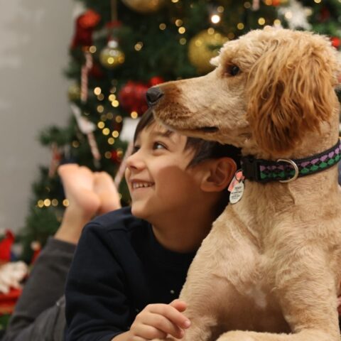 1 1 1024x1024 640x480