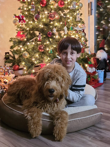 1 16 768x1024 640x480