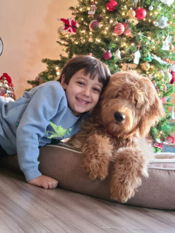 1 17 768x1024 640x480