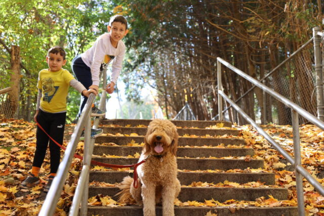 2P2A0733 1024x683 640x480