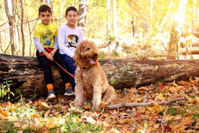 2P2A0742 1024x683 640x480