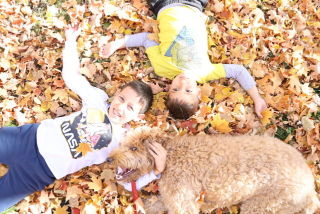 2P2A0767 1024x683 640x480